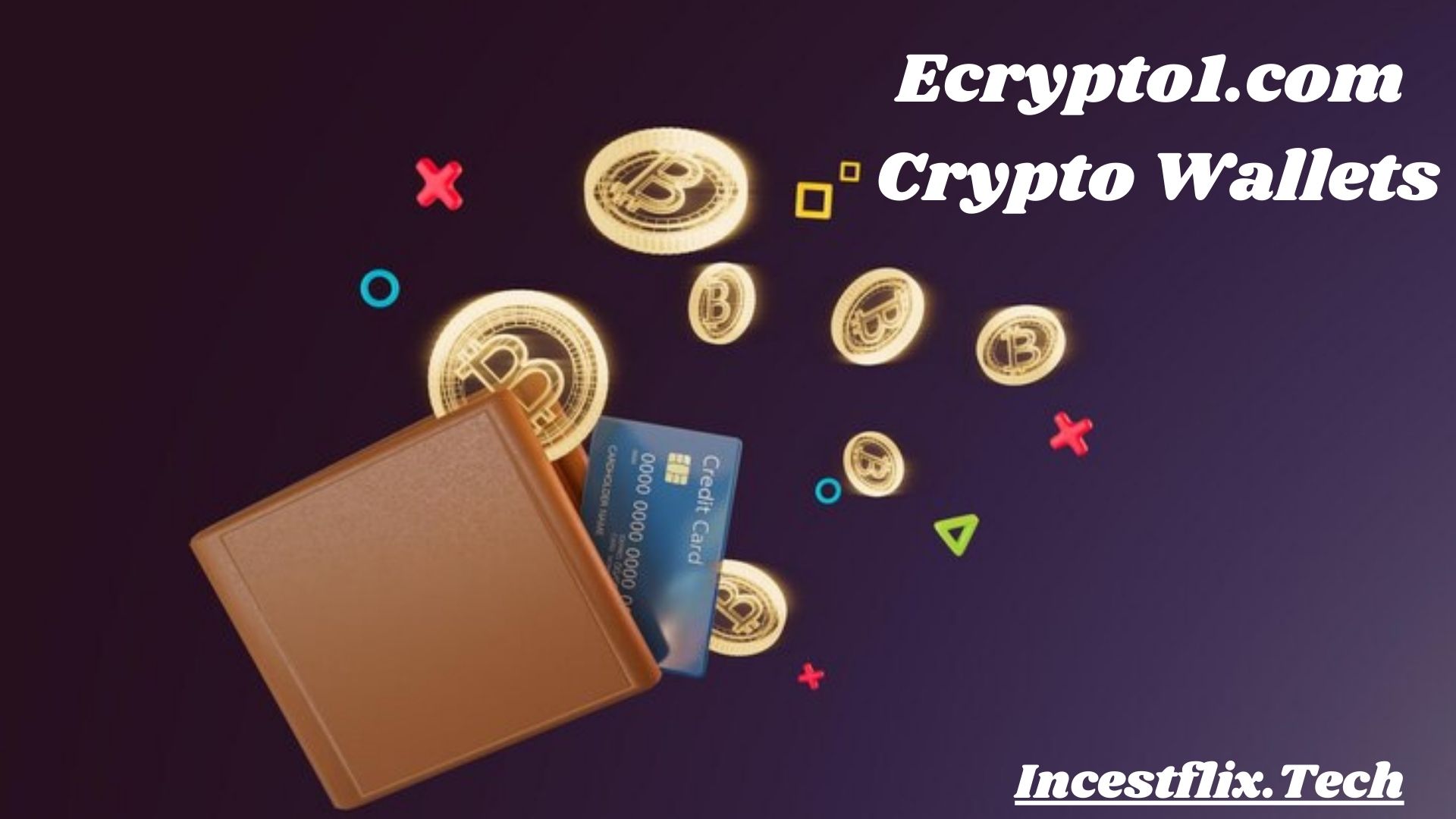 ecrypto1.com crypto wallets